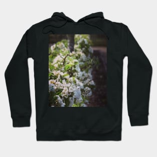 Apple blossom Hoodie